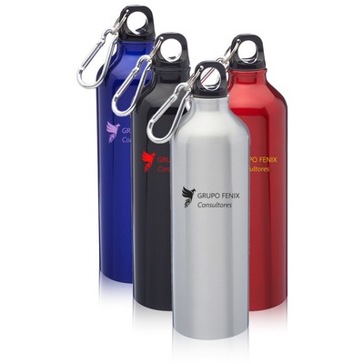 20 oz. Aluminum Water Bottles